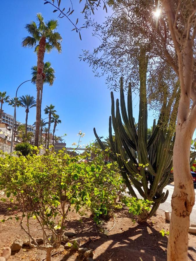 Vista Bella - Planta Baja Al Lado De La Piscina - Ground Floor By The Pool Apartment Playa Del Cura  Exterior photo
